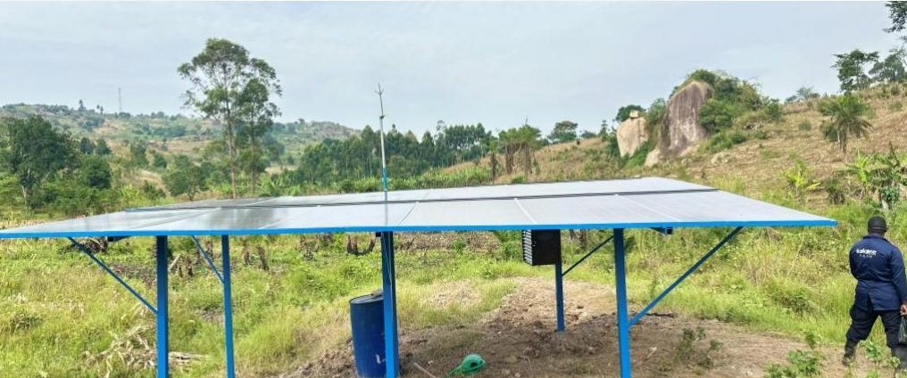 Solar-powered irrigation on a Kakone Coffee farm