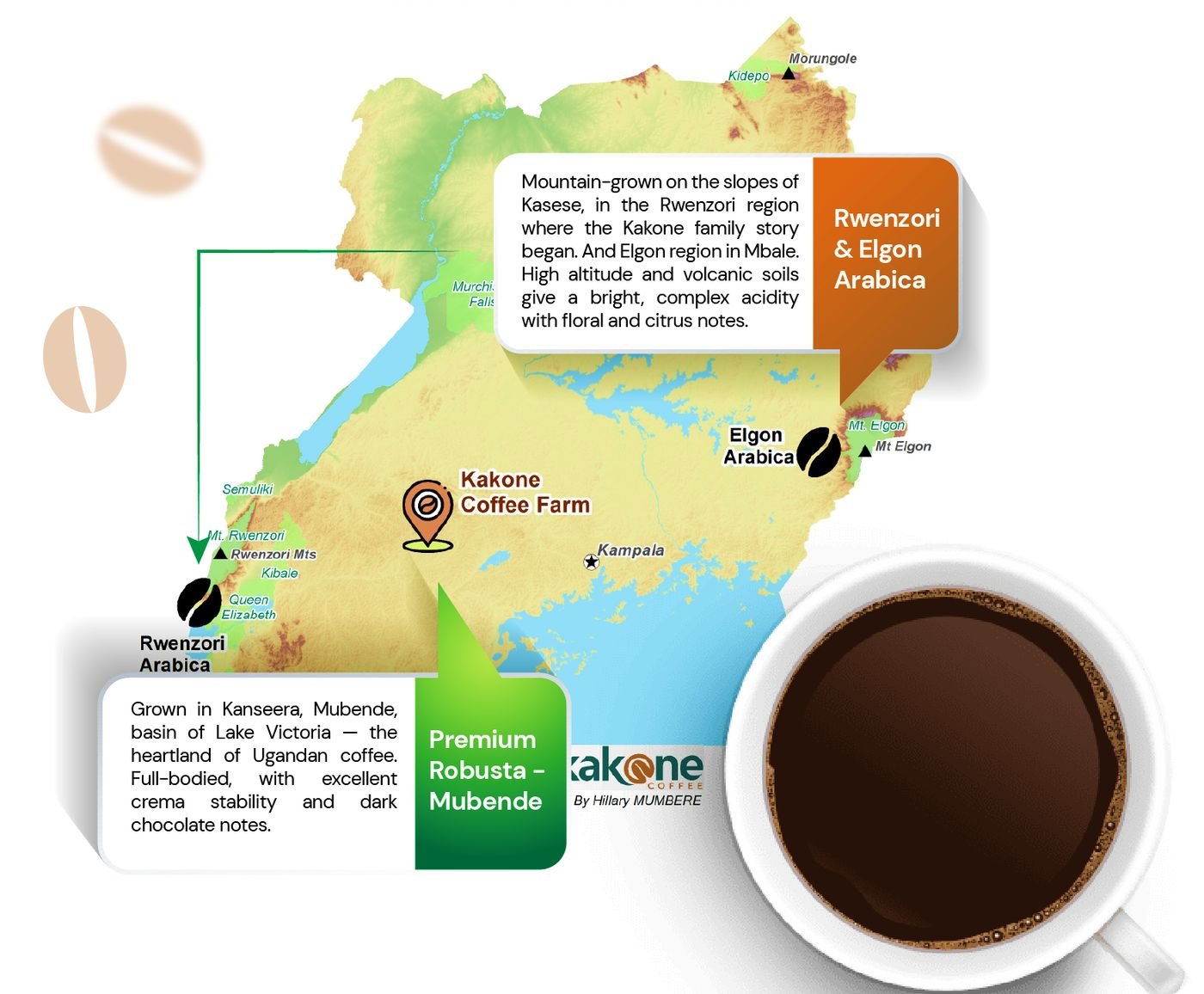 Map of Kakone Coffee origin — Rwenzori and Elgon Arabica, and Premium Robusta from Mubende
