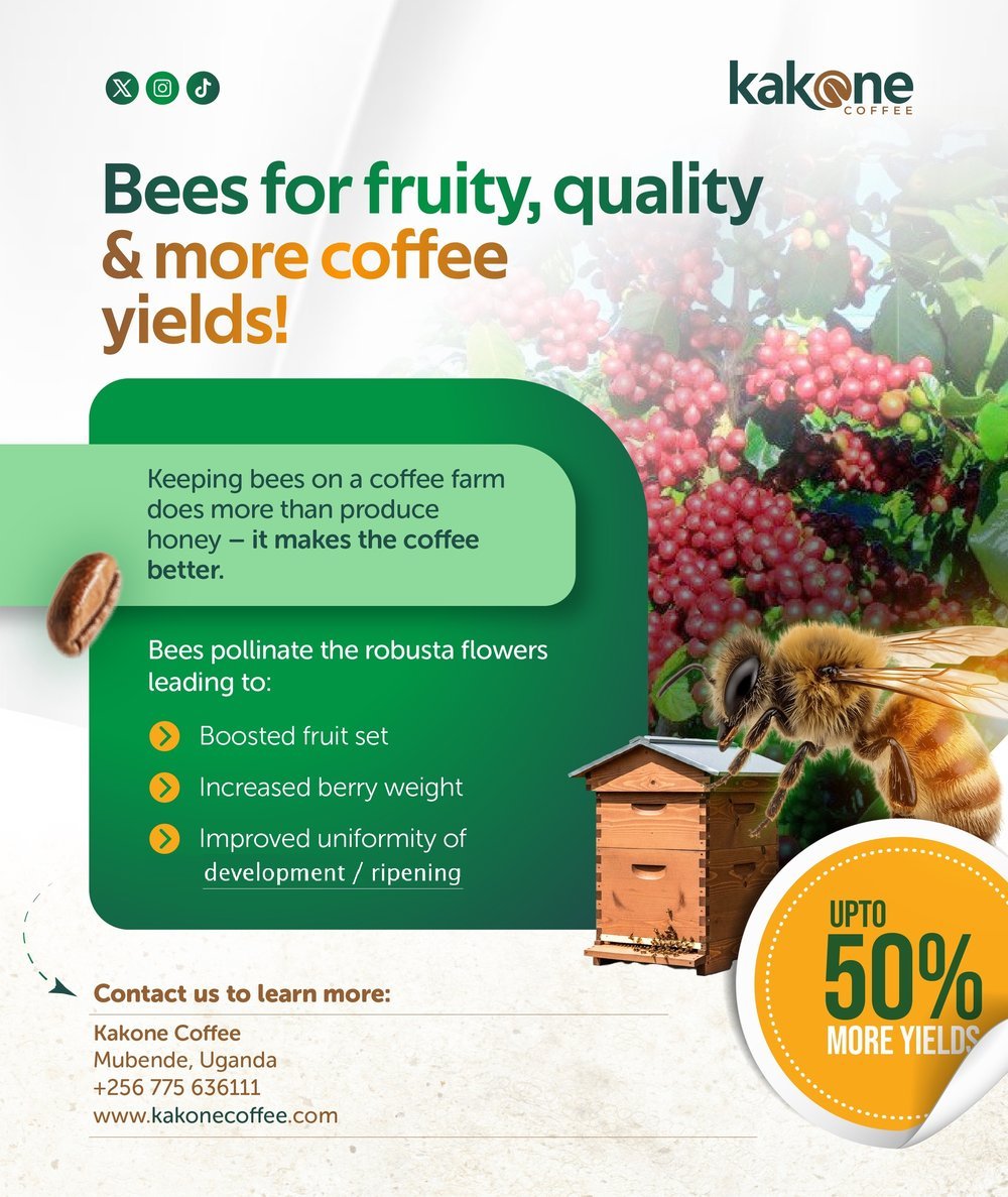 Beekeeping for higher coffee yields